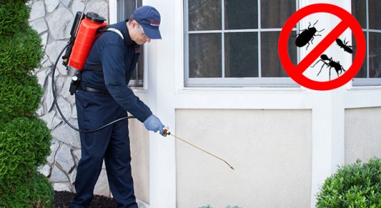 İmranlı Dezenfeksiyon böcek ilaçlama ve haşere kontrolü — ilaclama-tr.com